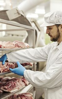 Food inspector handling meat